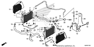 Radiator Schematic