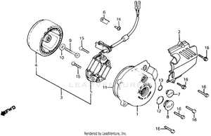 Left Crankcase Cover + Alternator Schematic