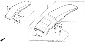 Rear Fender 91-97 Schematic