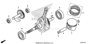 Crankshaft + Piston Schematic