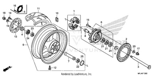 Rear Wheel Schematic