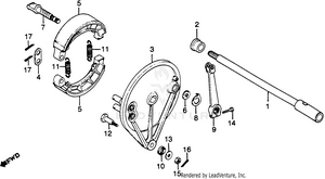 Rear Brake Panel Schematic