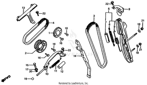 Cam Chain + Tensioner Schematic