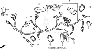 Wire Harness Schematic
