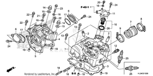 Cylinder Head Schematic