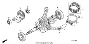 Crankshaft + Piston Schematic