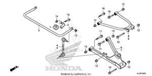 Rear Arm Schematic