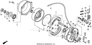 Rear Brake Schematic