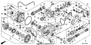 Front Final Gear Schematic