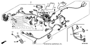 Wire Harness (1) Schematic