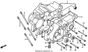 Crankcase 80-81 Schematic