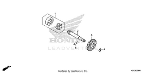 Oil Pump Schematic