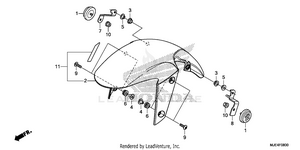 Front Fender Schematic