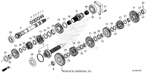 Transmission Schematic