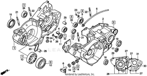 Crankcase Schematic