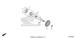 Oil Pump Schematic