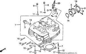 Cylinder Head Schematic