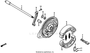 Rear Brake Panel Schematic