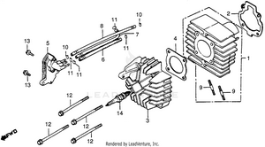 Cylinder + Cylinder Head Schematic