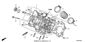 Cylinder Head Schematic
