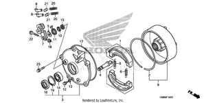 Rear Brake Drum Schematic