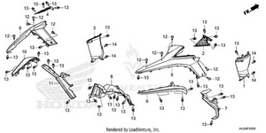 Rear Fender Schematic