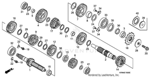 Transmission Schematic