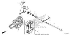 Rear Brake Panel Schematic