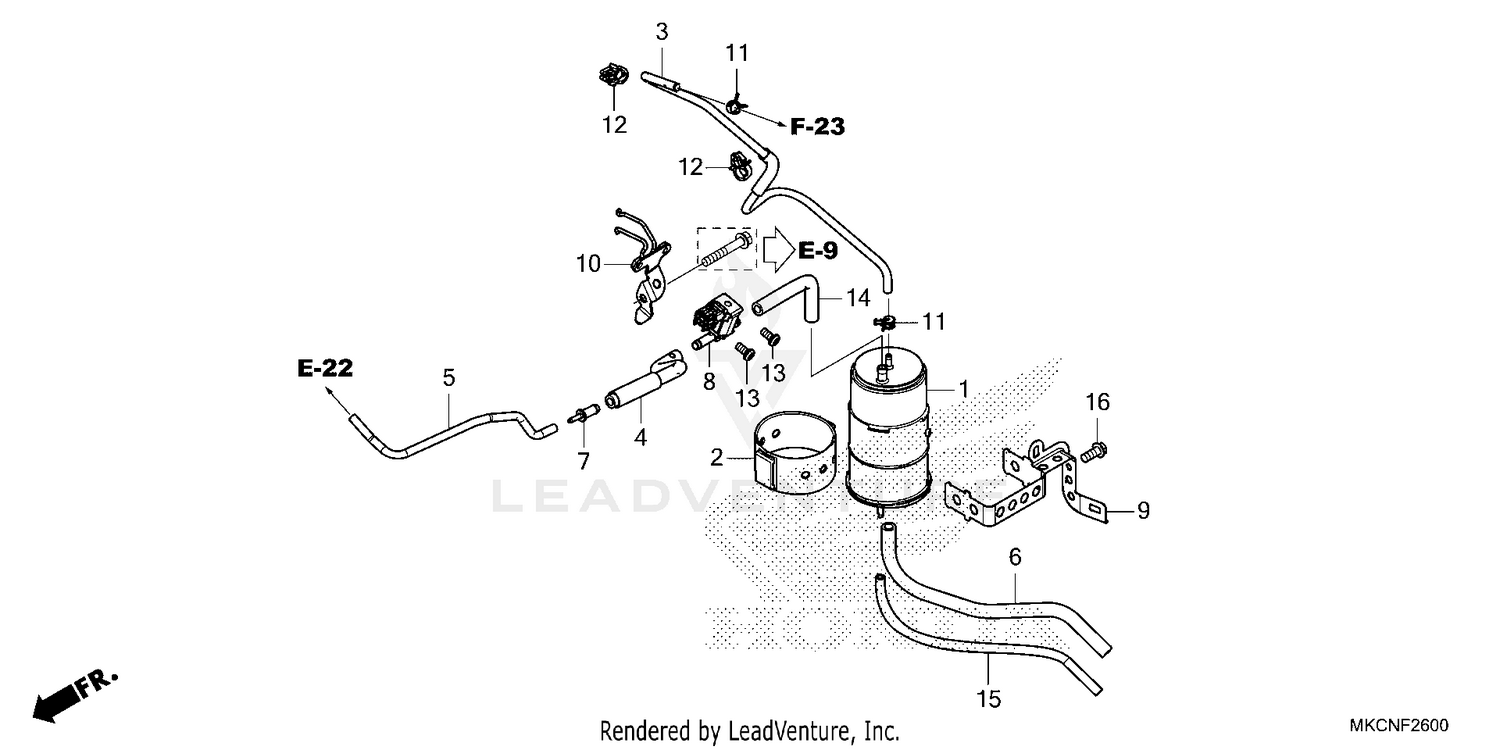 CANISTER