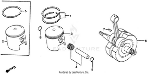 Crankshaft + Piston Schematic