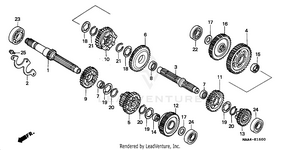 Transmission Schematic