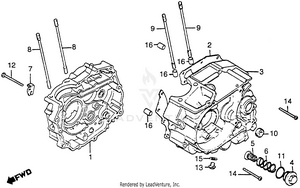Crankcase Schematic