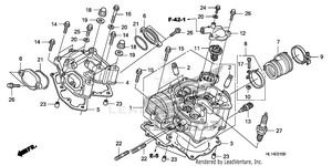 Cylinder Head Schematic