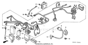 Wire Harness (trx450fm) Schematic