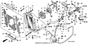 Radiator ('02-'04) Schematic