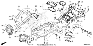 Front Fender Schematic