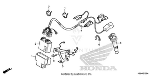 Wire Harness Schematic
