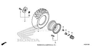 Rear Wheel Schematic