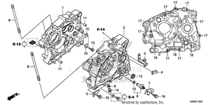 Crankcase Schematic