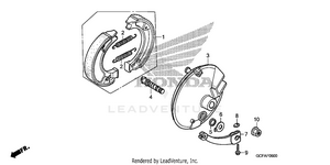Front Brake Panel Schematic