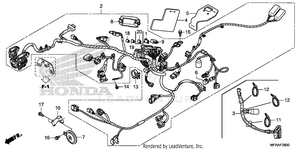 Wire Harness (1) Schematic