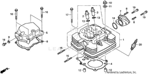 Cylinder Head Schematic