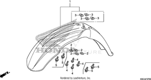 Front Fender Schematic