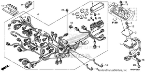 Wire Harness (2) Schematic