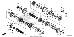 Transmission Schematic