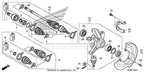 Knuckle Schematic