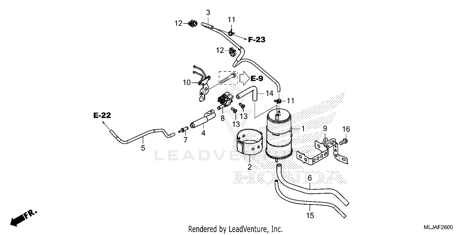CANISTER