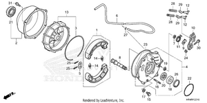 Rear Brake Panel Schematic