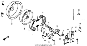 Rear Brake Drum Schematic