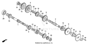 Transmission Schematic